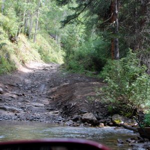 McCallister Gulch