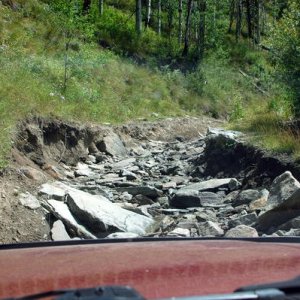 McCallister GUlch