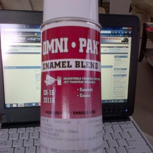 mixed paint