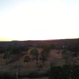 IMG 7994
