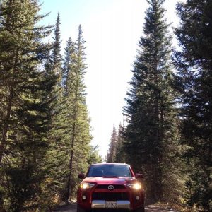 Rocky Mtn National Park: Old Fall River Rd