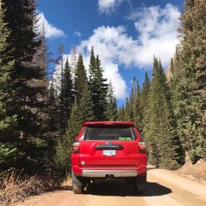Rocky Mtn National Park: Old Fall River Rd