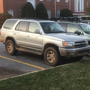 January 2017  --  After a romp in the mud.