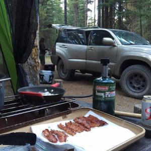 Bacon