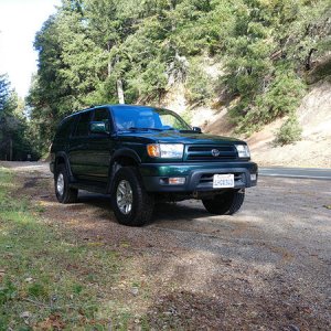 When I got her
