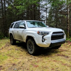 Capital forest, first trip off-road