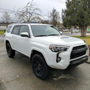 2017 superwhite TRD pro