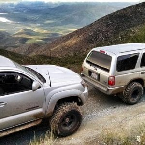 Taco and Runner