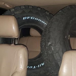 295s, picked them up tonight. On rims tomorrow!