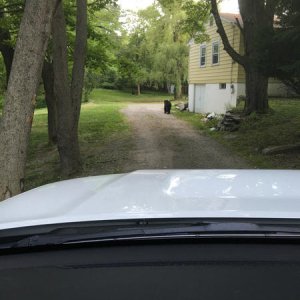 IMG 0047