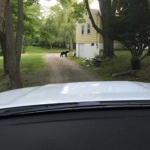 IMG 0048