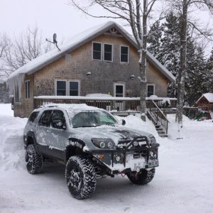 Snowy at home.