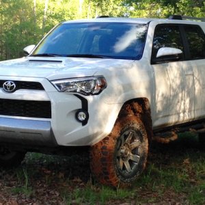 T4R Album - Alabama Spring 2017 - 2