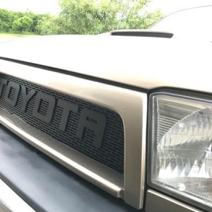 Raptor Grill and Hood 3