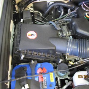 IMG 4540