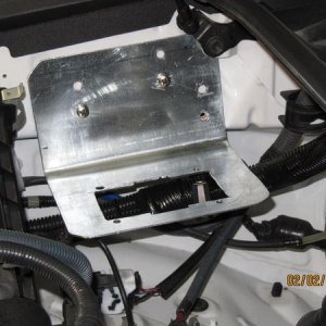 IMG 4531