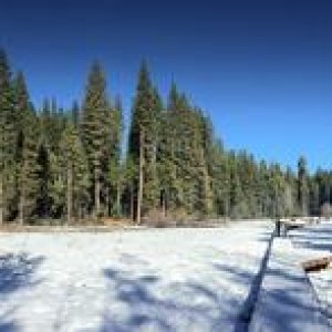 IMG 0320 (2)