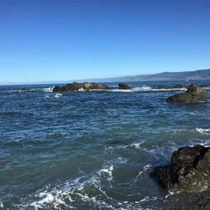 IMG 0375 (2)