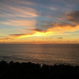IMG 0391 (2)