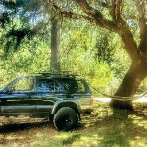 Chillin' in Sonoma.