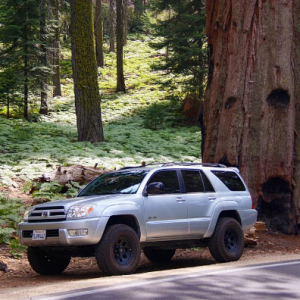 In front of a big Sequoia