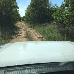 5 7 17first dirt
