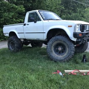 1981 hilux