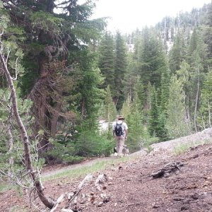Mammoth Mountain
