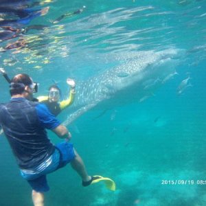 Oslob Philippines