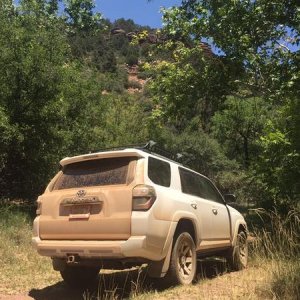 dirty t4r