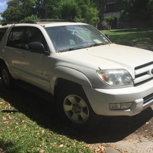 stock