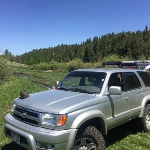 At the range in the 99 lmtd