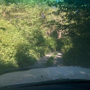 IMG 20160806 095436