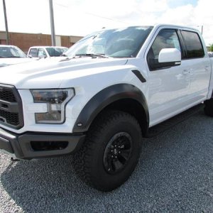 raptor