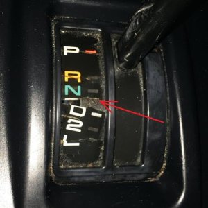 PRND2L