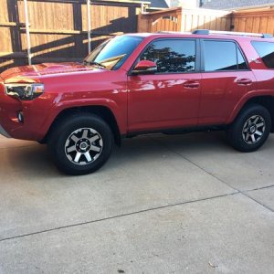 Stock