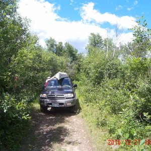 That time my friends and I found an abandoned canoe in the woods
