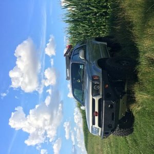 IMG 1680