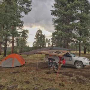 Apache National Forest campsite Jul 2017