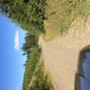 IMG 3700