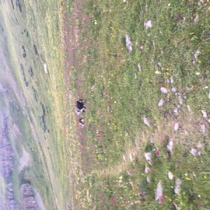 Have no clue why these go sideways They aren't in album Anyway, Clear Lake