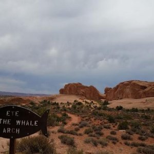 arches