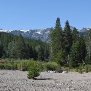 DSC 0170