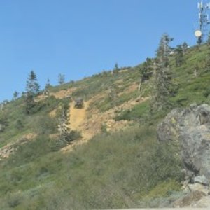 DSC 0248
