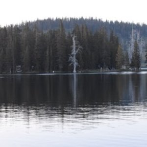 DSC 0343