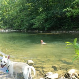 My 2 passengers at the swimming hole.