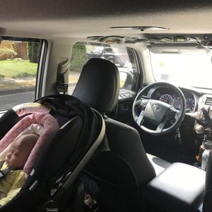 My co pilot at 8weeks old
