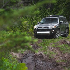 2017 TRD Off Road w/ KDSS

Currently stock.