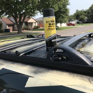 Transtar trim black repaint