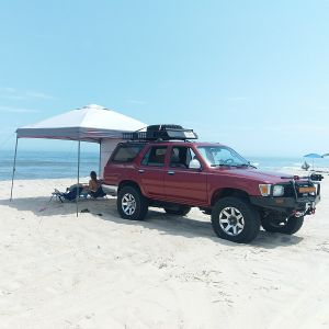 At Assateague, MD
